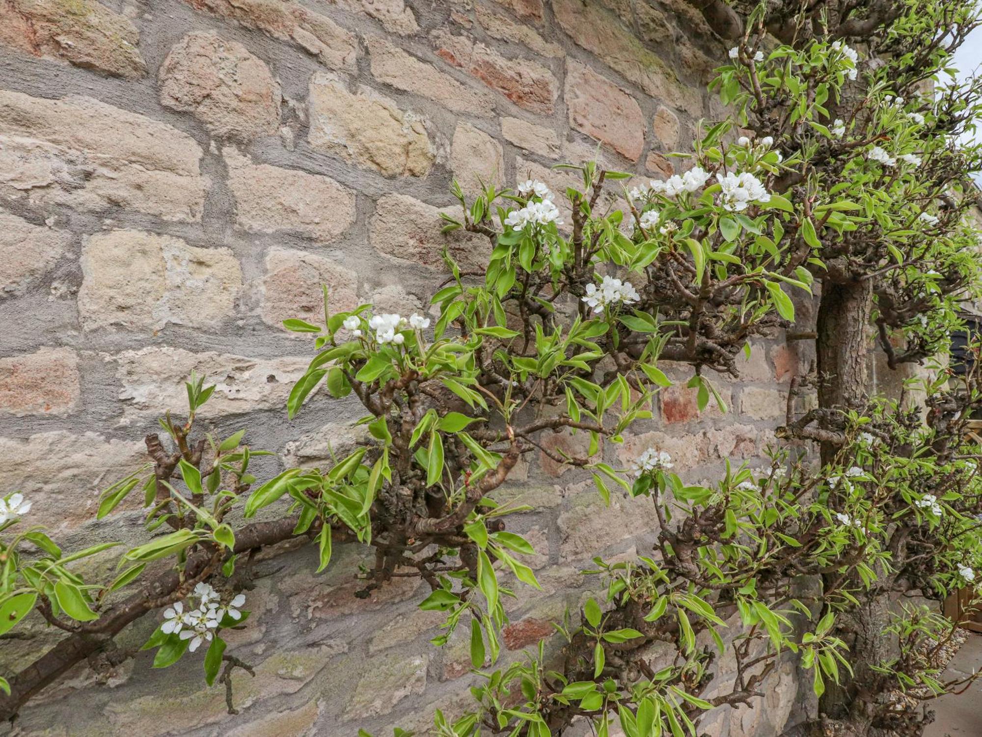 Pear Tree Cottage At Hey Farm Barnoldswick Zewnętrze zdjęcie